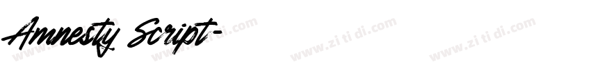 Amnesty Script字体转换 Amnesty Script字体转换